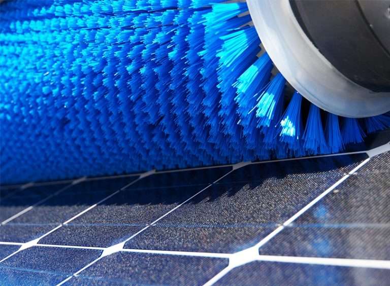 Bird Droppings on Glass and Solar Panels: The Fast Fix Going Viral Can Cause Permanent Damage